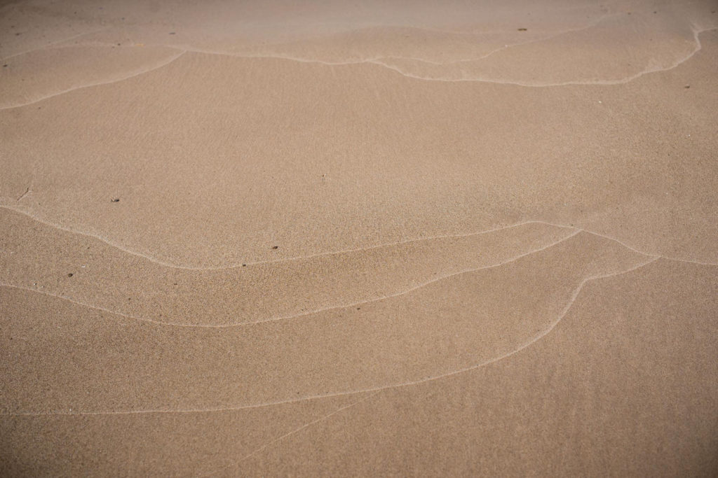 Indiana Dunes Sand